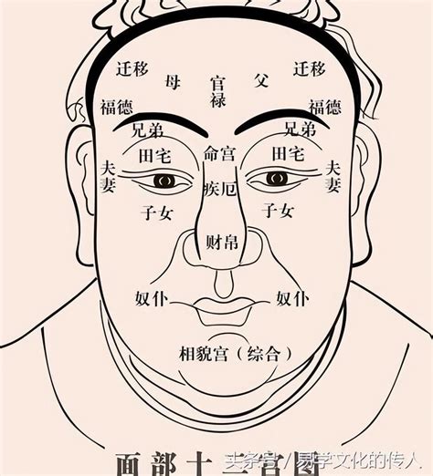 福堂 面相|《麻衣相法》面相十二宫图文详解大全